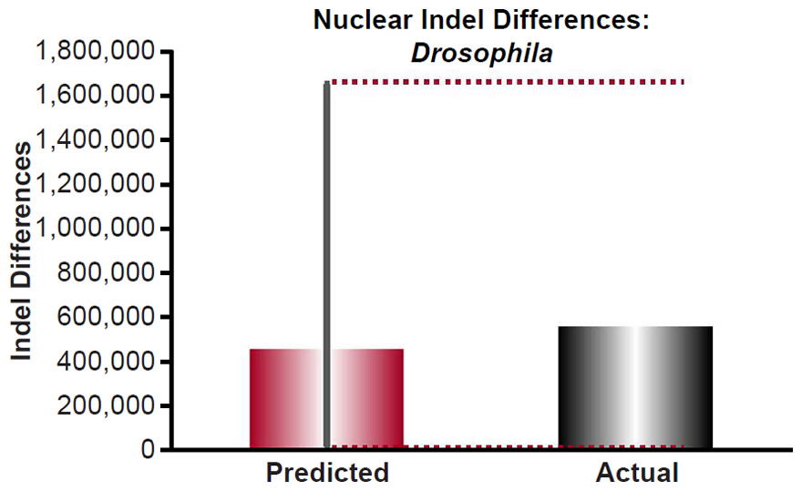 Figure 23
