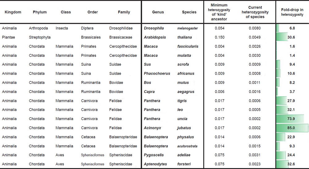 Table 6