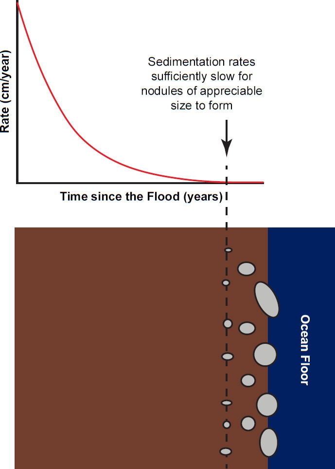 Figure 29