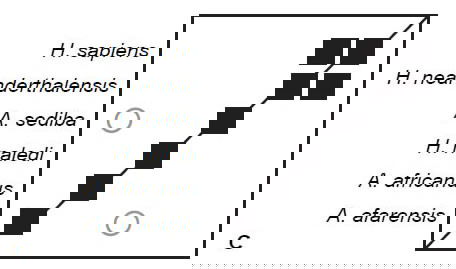 Three-dimension MDS Results