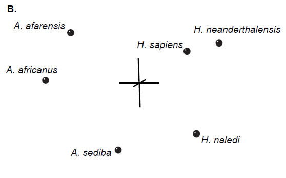 Three-dimension MDS Results