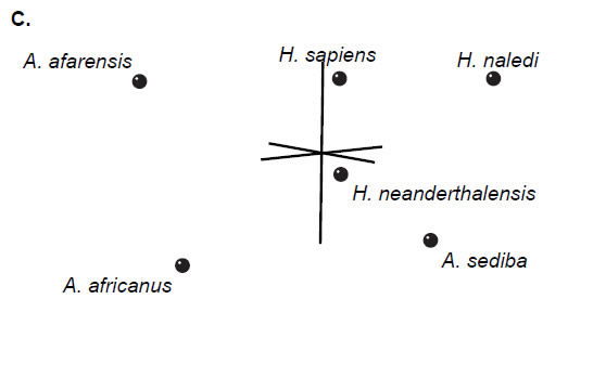 Three-dimension MDS Results