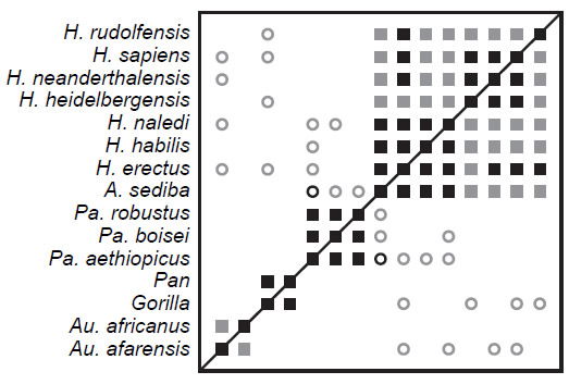 Craniodental Characters