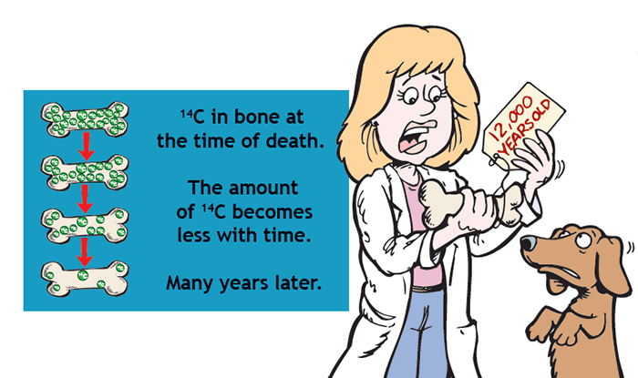 Age of Bone