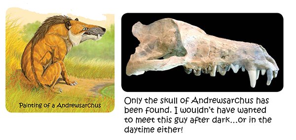 Andrewsarchus Fossil