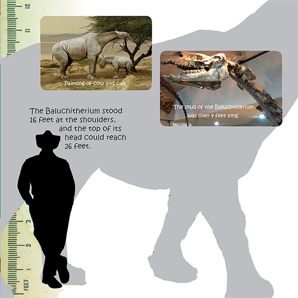 Baluchitherium Size