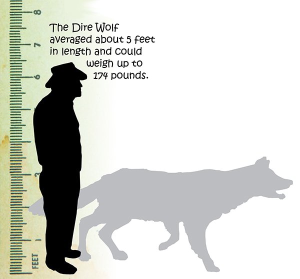 Dire Wolf | Kids Answers