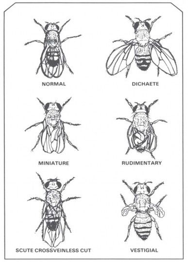 Figure 16