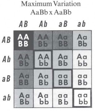 Figure 20