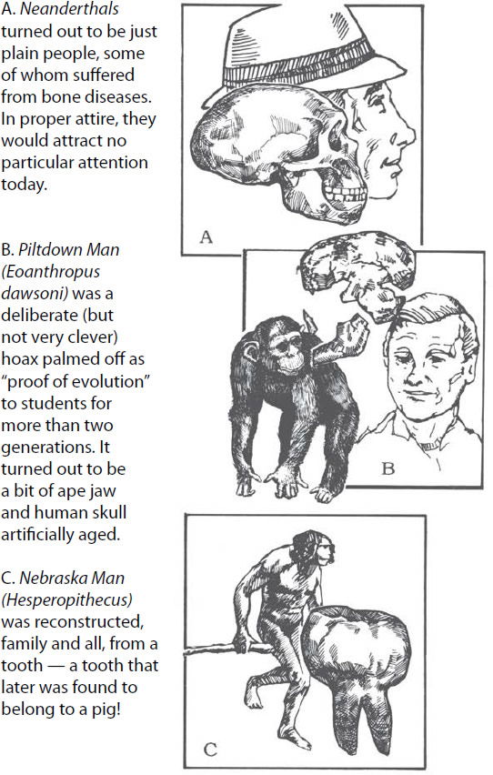 Figure 28