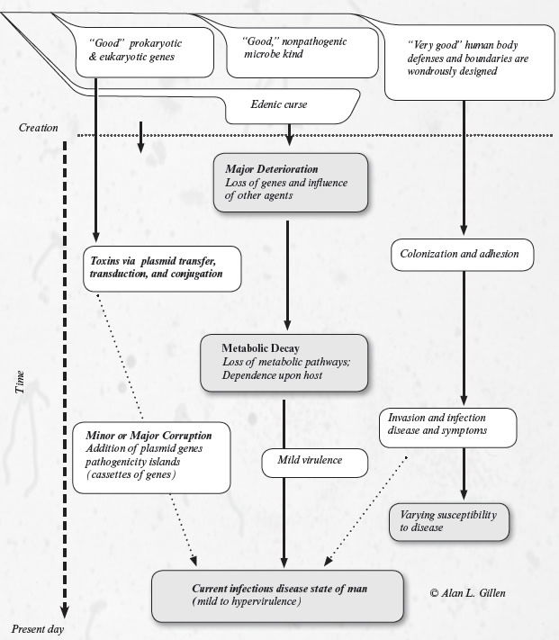 A multifaceted model of factors that have led to the origin of infectious disease.