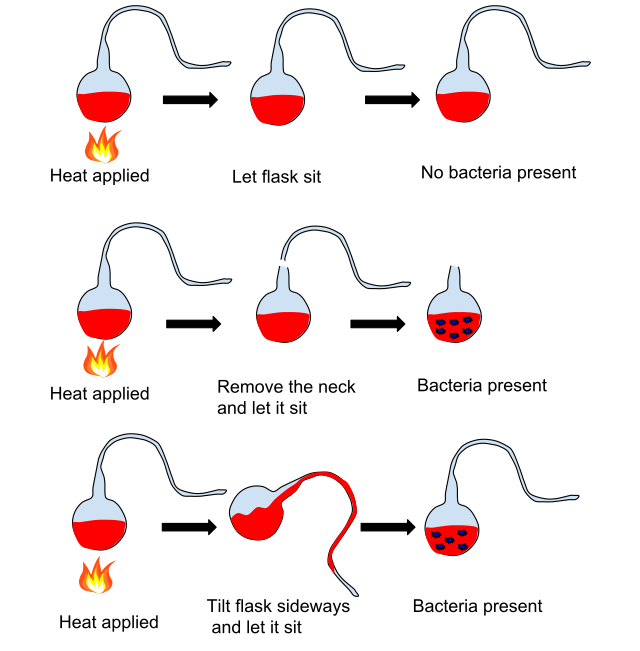 Spontaneous Generation Experiment