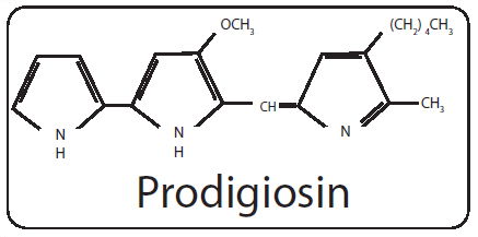 Prodigiosin