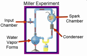 Miller-Urey Experiment | Kids Answers
