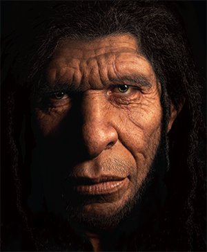 Neanderthal Image