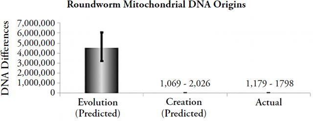 Roundworm Mitochondrial DNA Origins