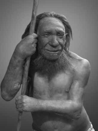 Neanderthals at the same museum post-2010