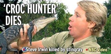 Steve Irwin