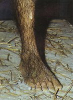 Foot reconstruction of 'Lucy'