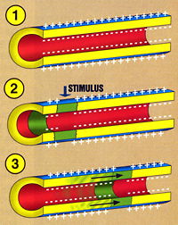 Figures 1-3