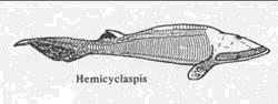 hemicyclaspis