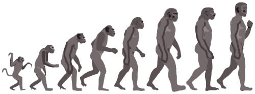 the evolution of mankind