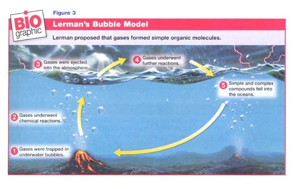 Bubble Model