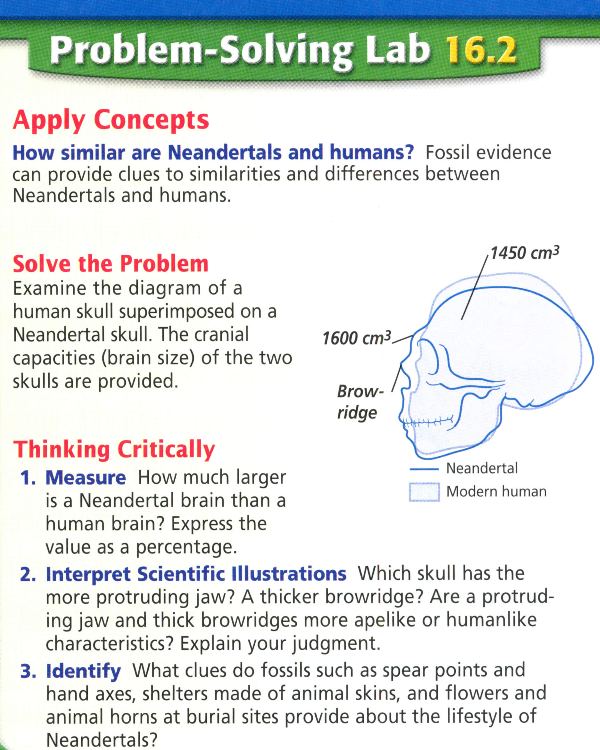 Essay on evolution of human race