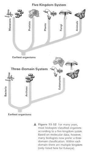 Five-Kingdom System