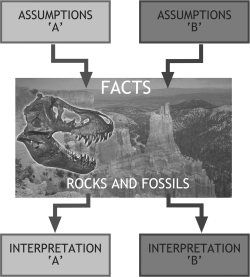 Rocks and Fossils