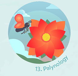 Palynology