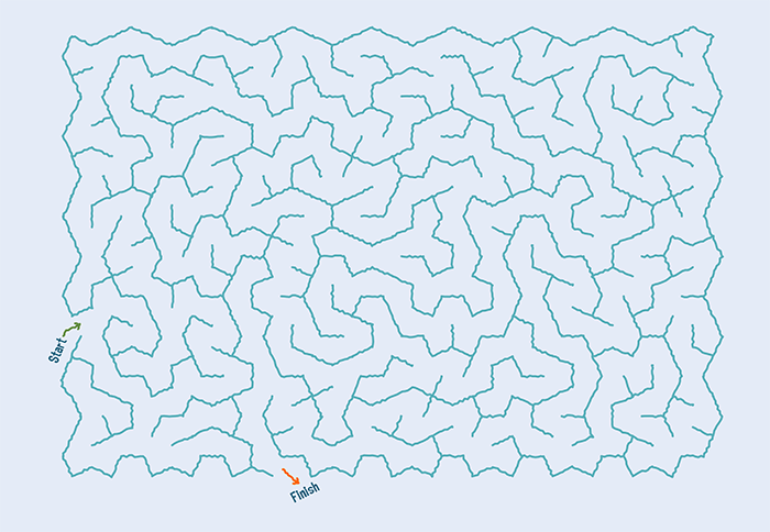 Can you solve the maze?