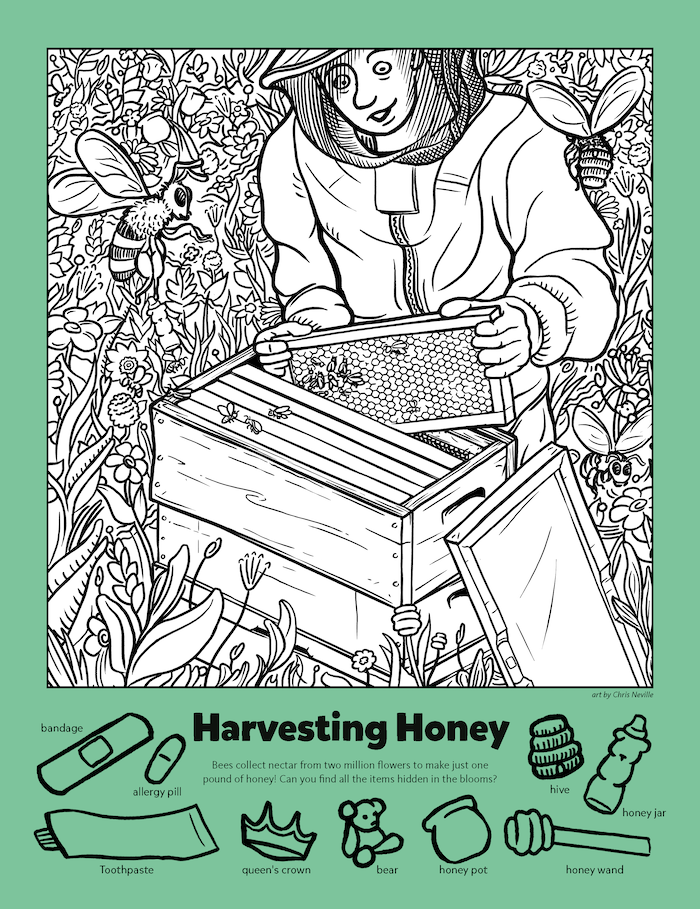 Harvesting Honey Kids Game Activity Kids Answers