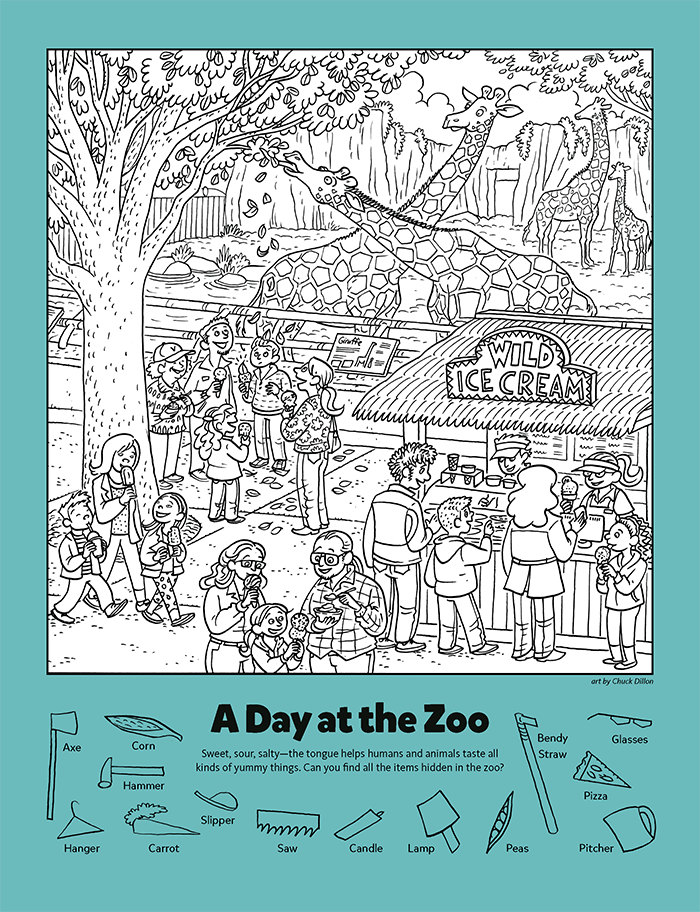 A Day At The Zoo Kids Game Activity Kids Answers