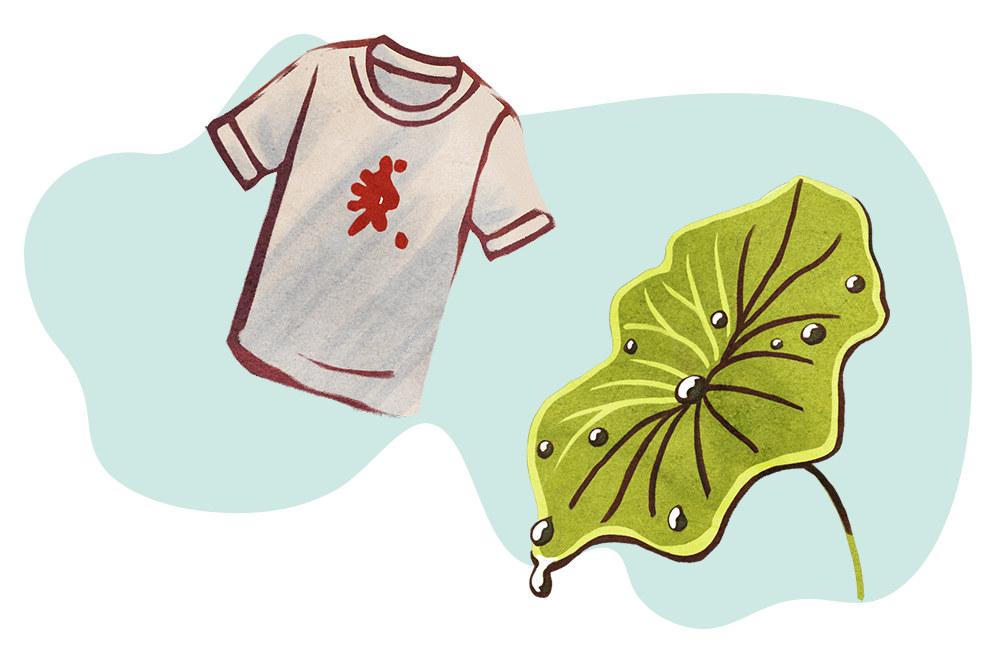 lotus plant and self-cleaning shirt