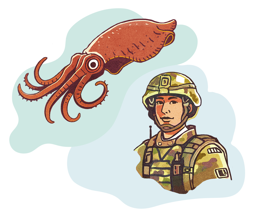 squid and soldier