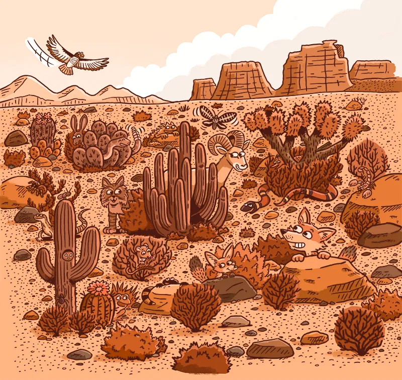 Find the desert animals!