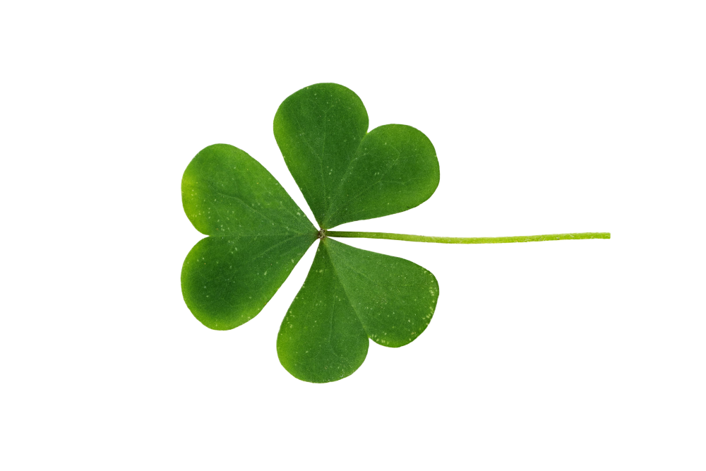 clover