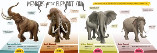 mastodonte vs elefante