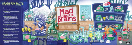 Mad About Brains