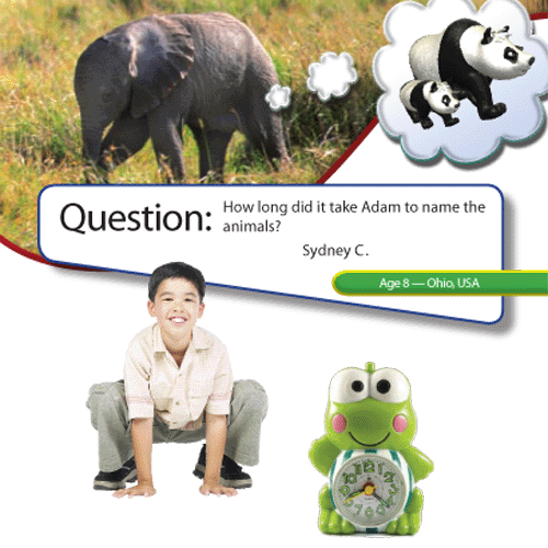 How Long Did it Take Adam to Name the Animals? | Kids Answers