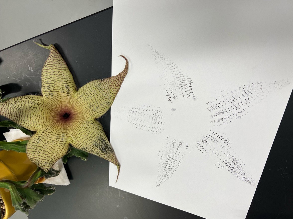 Fingerprint flower