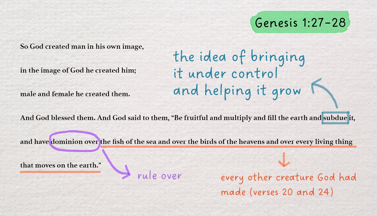 Genesis 1:27–28 annotated