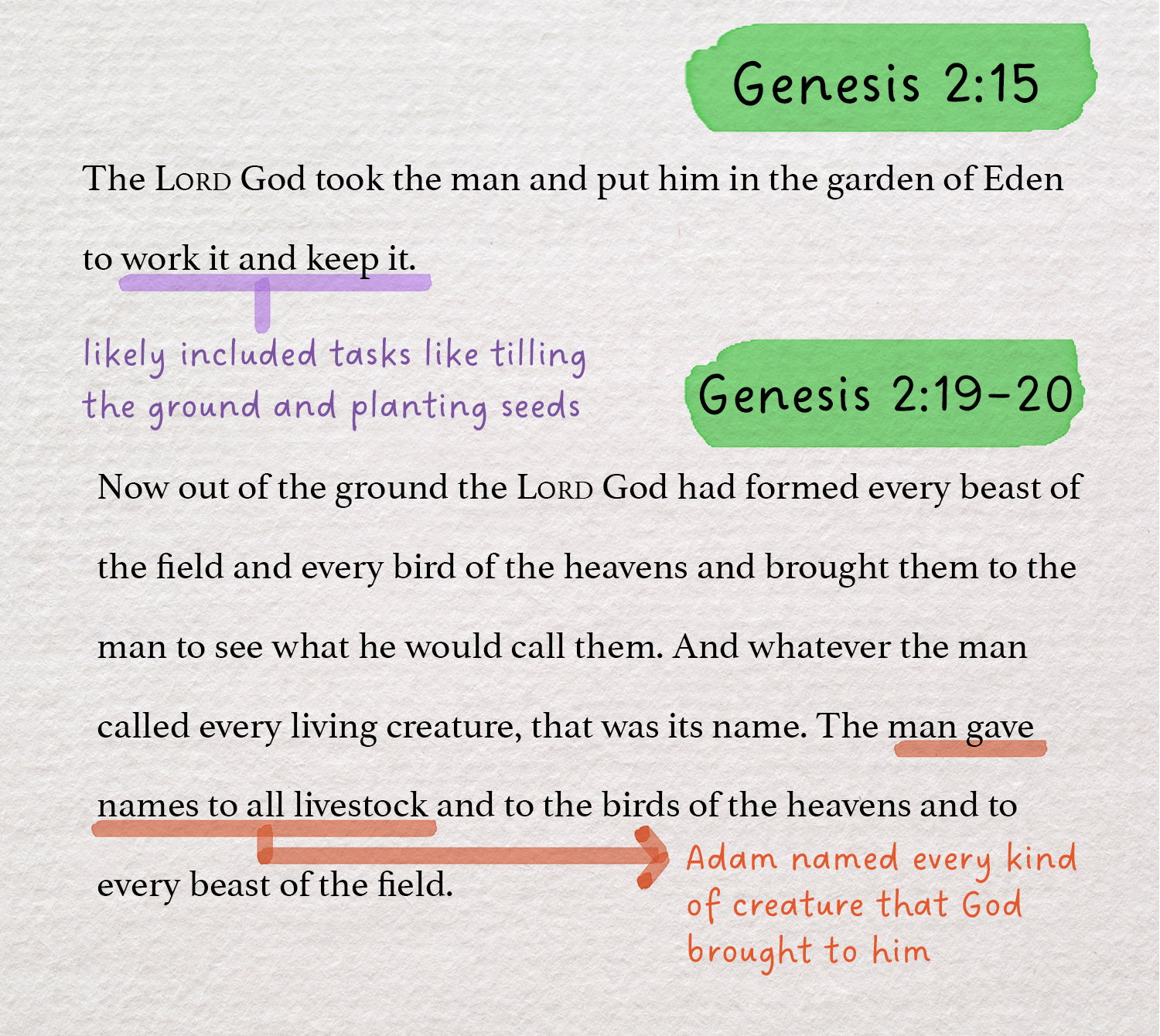 Genesis 2:15, 19 annotated
