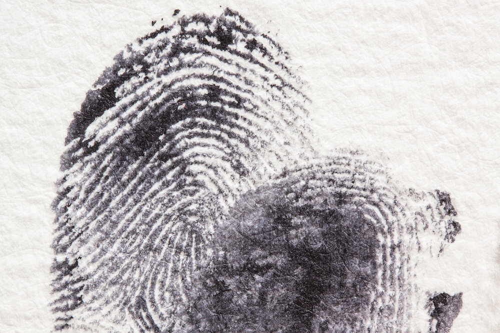 Human fingerprints