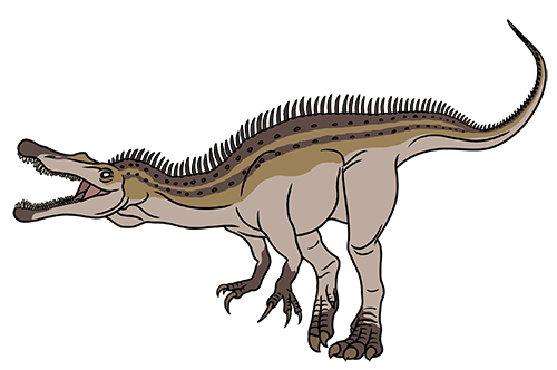 A Carnivorous Baryonyx Dinosaur Menaces An Herbivorous Sauropod On