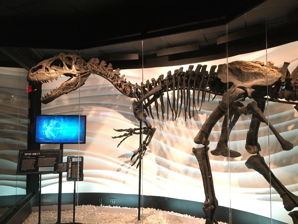 Ebenezer is on display at the Creation Museum.