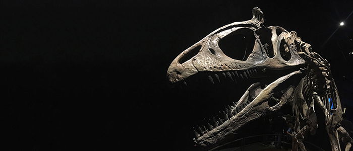 Dinosaurs of Antarctica: Part 2