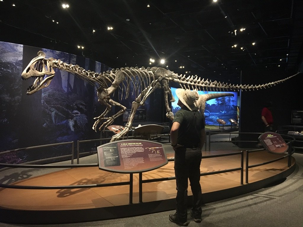 Kyle and Cryolophosaurus skeleton