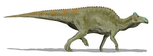 Artists rendition of an Edmontosaurus
